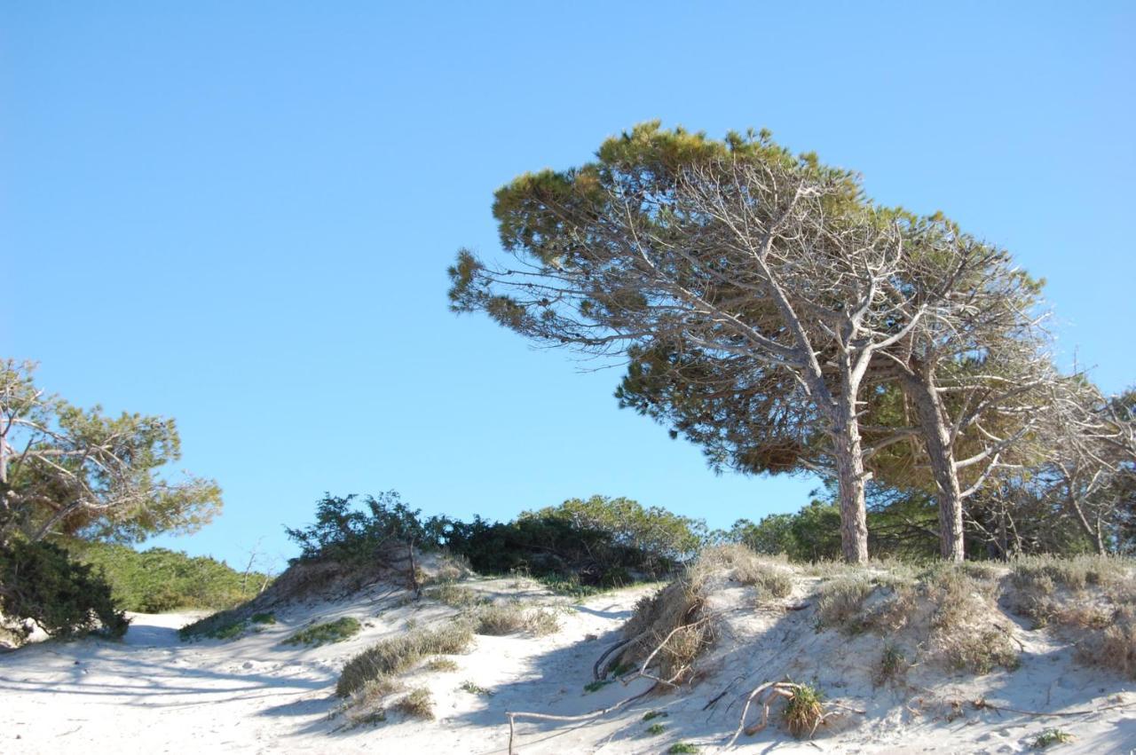 Buganvillea 3* Alghero